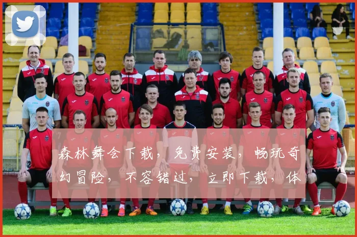森林舞会下载，免费安装，畅玩奇幻冒险，不容错过，立即下载，体验精彩游戏
