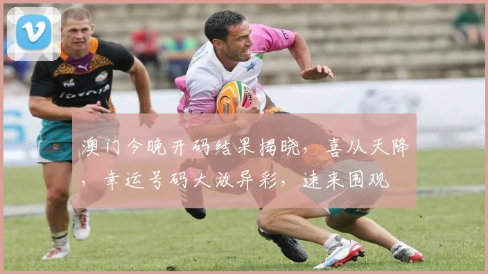 澳门今晚开码结果揭晓，喜从天降，幸运号码大放异彩，速来围观
