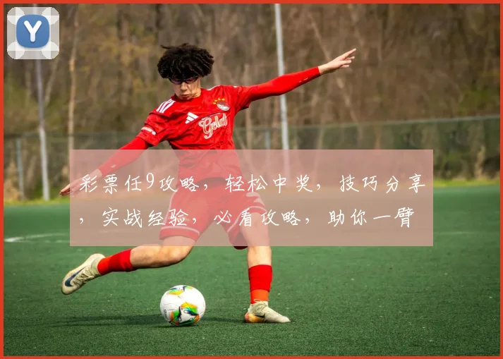彩票任9攻略，轻松中奖，技巧分享，实战经验，必看攻略，助你一臂之力