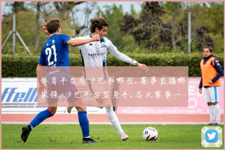 体育平台有沙巴和哪些,赛事直播哪家强,沙巴平台显身手,各大赛事一网打尽