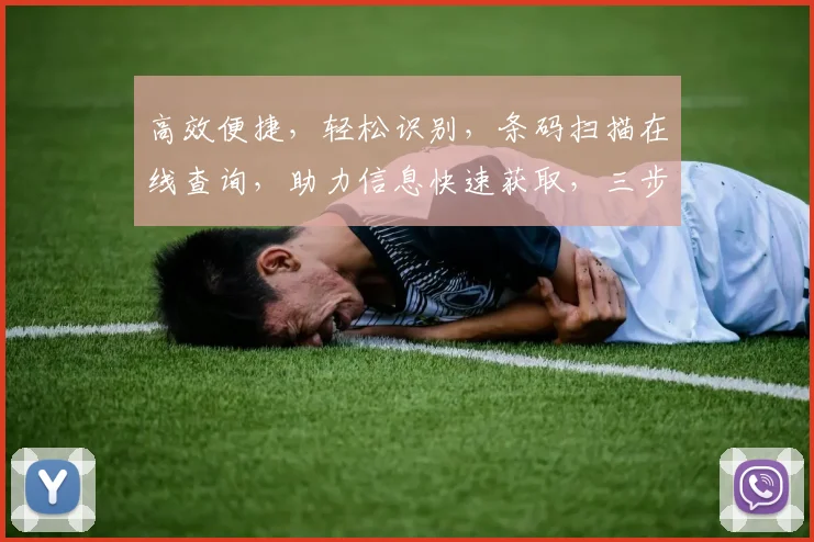 高效便捷，轻松识别，条码扫描在线查询，助力信息快速获取，三步操作，体验无忧。